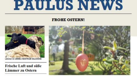 Paulus News